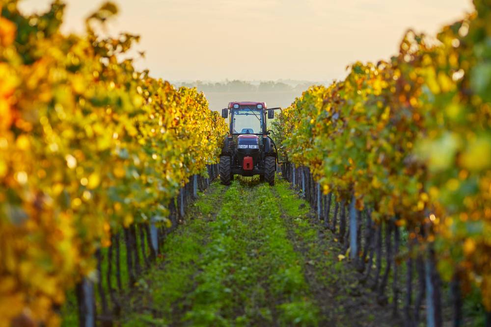 Prestations mécaniques - Solu’Vignes, travaux viticole et service de vendange en Champagne